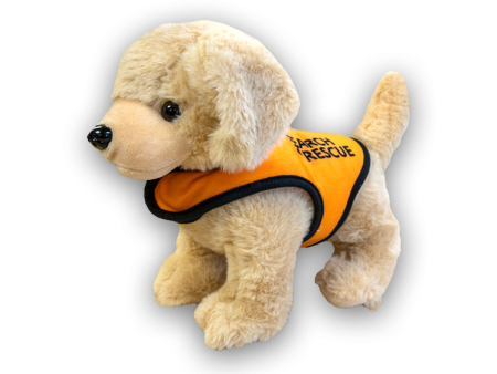 Golden Retriever Rescue Dog Online Sale