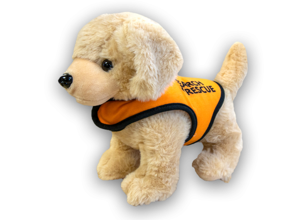 Golden Retriever Rescue Dog Online Sale