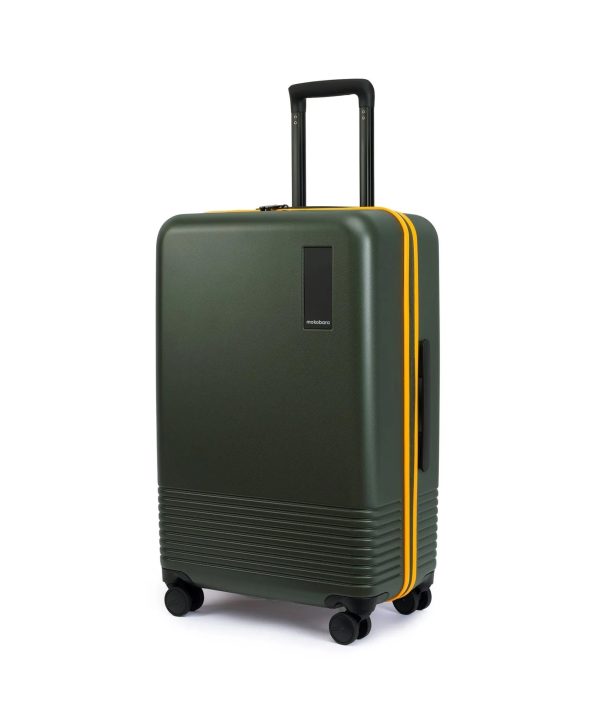 The Check-in Luggage Online