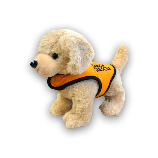 Golden Retriever Rescue Dog Online Sale