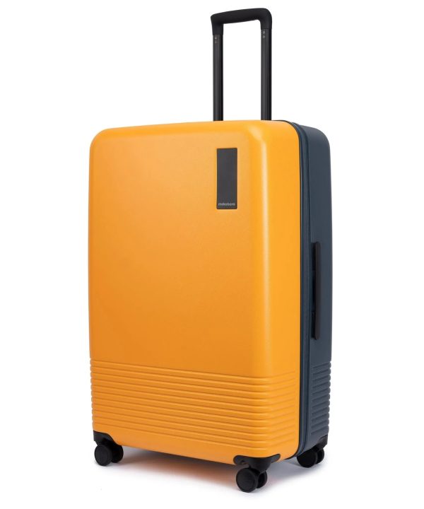 The Check-in Large Luggage Online Sale