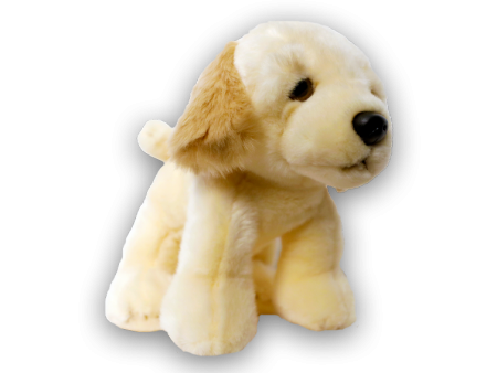 Heritage Golden Retriever For Cheap